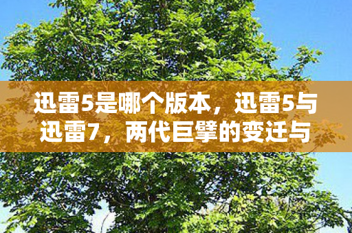 迅雷5是哪个版本，迅雷5与迅雷7，两代巨擘的变迁与革新
