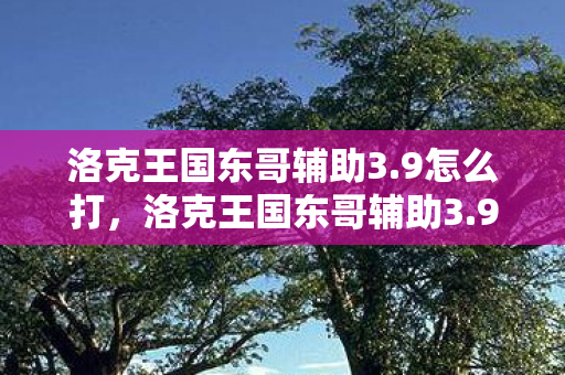 洛克王国东哥辅助3.9怎么打,洛克王国东哥辅助3.9,提升游戏体验的得力助手 洛克王国东哥辅助3.9怎么打,洛克王国东哥辅助3.9,提升游戏体验的得力助手