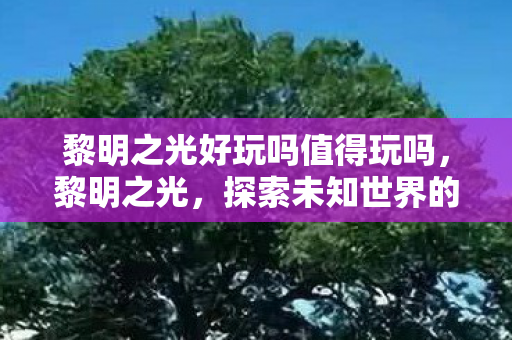黎明之光好玩吗值得玩吗,黎明之光,探索未知世界的无尽乐趣 黎明之光好玩吗值得玩吗,黎明之光,探索未知世界的无尽乐趣