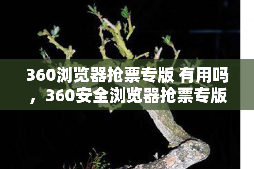 360浏览器抢票专版 有用吗,360安全浏览器抢票专版,让购票更安心 360浏览器抢票专版 有用吗,360安全浏览器抢票专版,让购票更安心