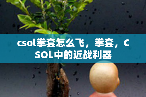 csol拳套怎么飞,拳套,CSOL中的近战利器 csol拳套怎么飞,拳套,CSOL中的近战利器