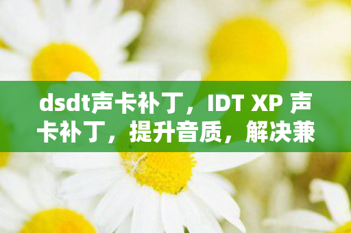 dsdt声卡补丁,IDT XP 声卡补丁,提升音质,解决兼容性问题 dsdt声卡补丁,IDT XP 声卡补丁,提升音质,解决兼容性问题
