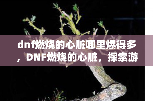 dnf燃烧的心脏哪里爆得多,DNF燃烧的心脏,探索游戏背后的激情与坚持 dnf燃烧的心脏哪里爆得多,DNF燃烧的心脏,探索游戏背后的激情与坚持