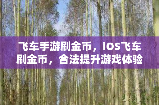 飞车手游刷金币,iOS飞车刷金币,合法提升游戏体验的秘籍 飞车手游刷金币,iOS飞车刷金币,合法提升游戏体验的秘籍