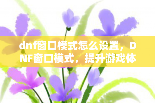 dnf窗口模式怎么设置,DNF窗口模式,提升游戏体验的实用技巧 dnf窗口模式怎么设置,DNF窗口模式,提升游戏体验的实用技巧