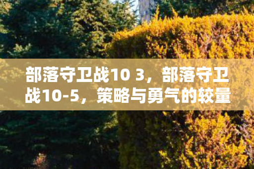 部落守卫战10 3,部落守卫战10-5,策略与勇气的较量 部落守卫战10 3,部落守卫战10-5,策略与勇气的较量