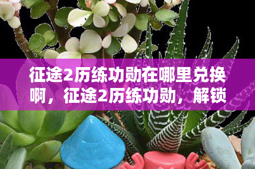 征途2历练功勋在哪里兑换啊,征途2历练功勋,解锁荣耀之路的必备指南 征途2历练功勋在哪里兑换啊,征途2历练功勋,解锁荣耀之路的必备指南