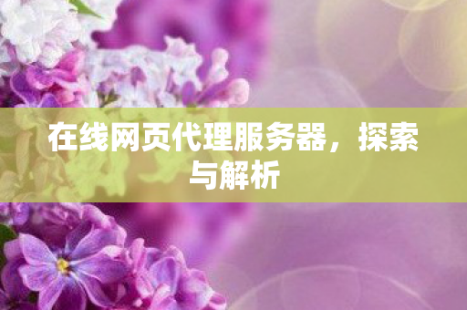 在线网页代理服务器,探索与解析 在线网页代理服务器,探索与解析