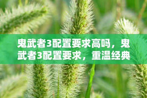 鬼武者3配置要求高吗,鬼武者3配置要求,重温经典游戏的硬件门槛 鬼武者3配置要求高吗,鬼武者3配置要求,重温经典游戏的硬件门槛