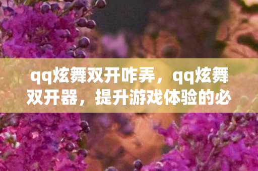 qq炫舞双开咋弄,qq炫舞双开器,提升游戏体验的必备神器 qq炫舞双开咋弄,qq炫舞双开器,提升游戏体验的必备神器