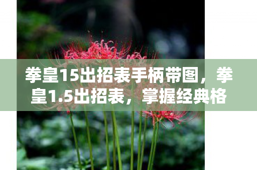 拳皇15出招表手柄带图,拳皇1.5出招表,掌握经典格斗技 拳皇15出招表手柄带图,拳皇1.5出招表,掌握经典格斗技