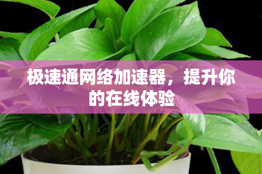 极速通网络加速器,提升你的在线体验 极速通网络加速器,提升你的在线体验