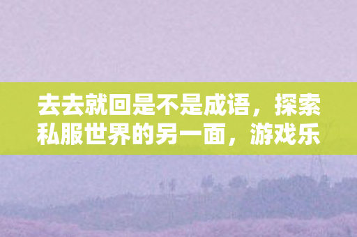 去去就回是不是成语,探索私服世界的另一面,游戏乐趣与社区文化的独特魅力 去去就回是不是成语,探索私服世界的另一面,游戏乐趣与社区文化的独特魅力