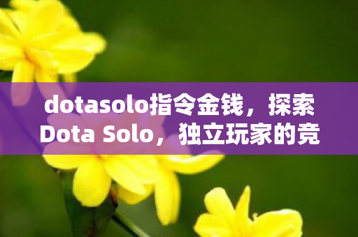 dotasolo指令金钱,探索Dota Solo,独立玩家的竞技之旅 dotasolo指令金钱,探索Dota Solo,独立玩家的竞技之旅