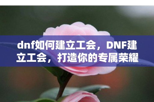 dnf如何建立工会,DNF建立工会,打造你的专属荣耀殿堂 dnf如何建立工会,DNF建立工会,打造你的专属荣耀殿堂