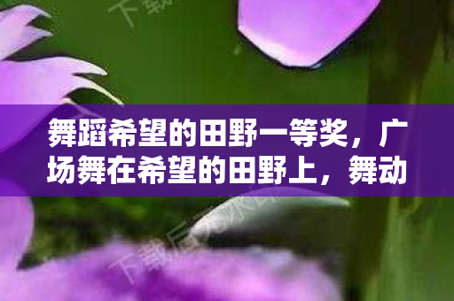 舞蹈希望的田野一等奖,广场舞在希望的田野上,舞动生活的旋律 舞蹈希望的田野一等奖,广场舞在希望的田野上,舞动生活的旋律