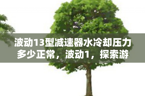 波动13型减速器水冷却压力多少正常,波动1,探索游戏世界的无限可能 波动13型减速器水冷却压力多少正常,波动1,探索游戏世界的无限可能