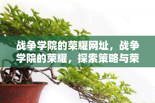 战争学院的荣耀网址,战争学院的荣耀,探索策略与荣耀的交汇点 战争学院的荣耀网址,战争学院的荣耀,探索策略与荣耀的交汇点