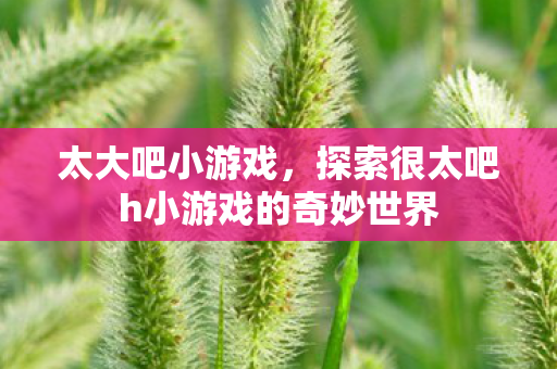 太大吧小游戏,探索很太吧h小游戏的奇妙世界 太大吧小游戏,探索很太吧h小游戏的奇妙世界