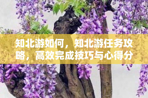 知北游如何,知北游任务攻略,高效完成技巧与心得分享 知北游如何,知北游任务攻略,高效完成技巧与心得分享