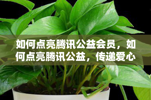 如何点亮腾讯公益会员,如何点亮腾讯公益,传递爱心,点亮希望 如何点亮腾讯公益会员,如何点亮腾讯公益,传递爱心,点亮希望