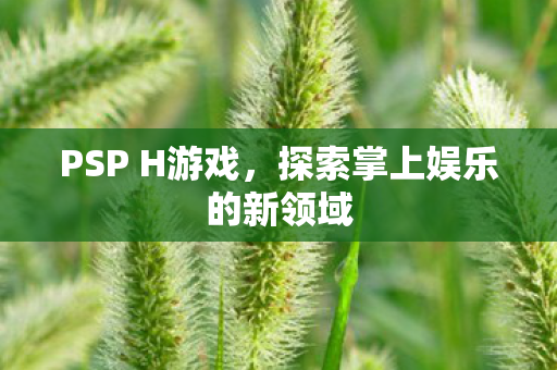 PSP H游戏，探索掌上娱乐的新领域