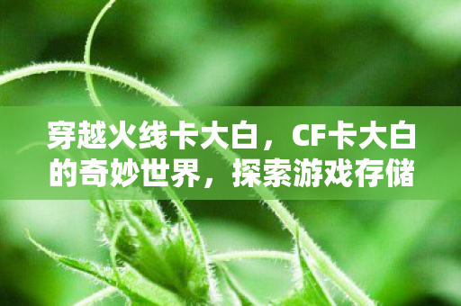 穿越火线卡大白,CF卡大白的奇妙世界,探索游戏存储的奥秘 穿越火线卡大白,CF卡大白的奇妙世界,探索游戏存储的奥秘