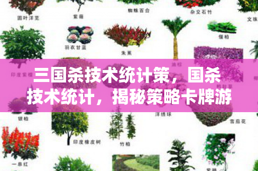 三国杀技术统计策，国杀 技术统计，揭秘策略卡牌游戏的深层数据
