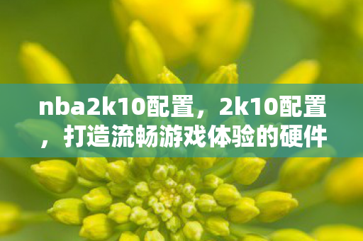 nba2k10配置，2k10配置，打造流畅游戏体验的硬件指南