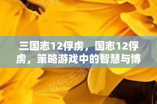 三国志12俘虏,国志12俘虏,策略游戏中的智慧与博弈 三国志12俘虏,国志12俘虏,策略游戏中的智慧与博弈