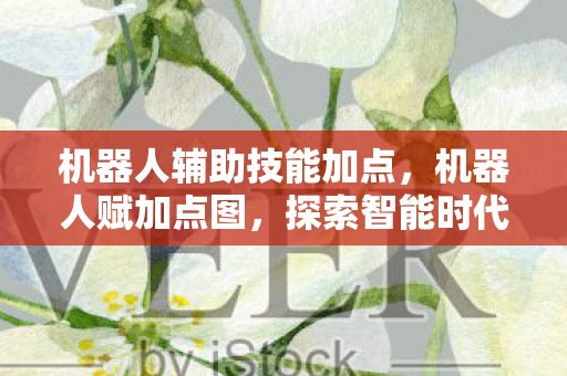 机器人辅助技能加点,机器人赋加点图,探索智能时代的无限可能 机器人辅助技能加点,机器人赋加点图,探索智能时代的无限可能