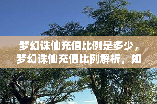 梦幻诛仙充值比例是多少，梦幻诛仙充值比例解析，如何更划算地享受游戏乐趣