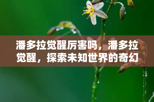 潘多拉觉醒厉害吗,潘多拉觉醒,探索未知世界的奇幻之旅 潘多拉觉醒厉害吗,潘多拉觉醒,探索未知世界的奇幻之旅