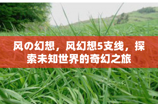 风の幻想,风幻想5支线,探索未知世界的奇幻之旅 风の幻想,风幻想5支线,探索未知世界的奇幻之旅