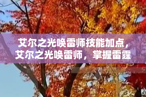 艾尔之光唤雷师技能加点,艾尔之光唤雷师,掌握雷霆之力的冒险之旅 艾尔之光唤雷师技能加点,艾尔之光唤雷师,掌握雷霆之力的冒险之旅