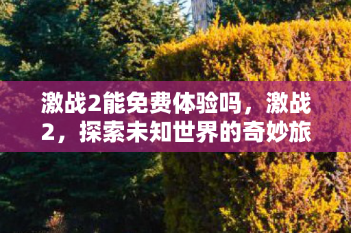 激战2能免费体验吗,激战2,探索未知世界的奇妙旅程 激战2能免费体验吗,激战2,探索未知世界的奇妙旅程
