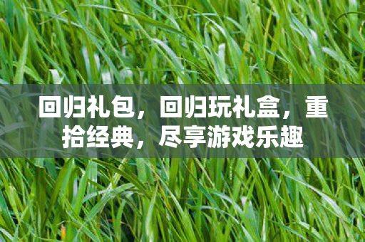 回归礼包,回归玩礼盒,重拾经典,尽享游戏乐趣 回归礼包,回归玩礼盒,重拾经典,尽享游戏乐趣