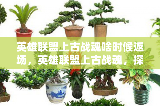 英雄联盟上古战魂啥时候返场，英雄联盟上古战魂，探寻古老战场的传奇故事