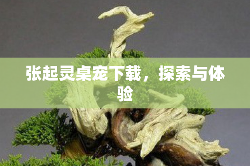 张起灵桌宠下载,探索与体验 张起灵桌宠下载,探索与体验