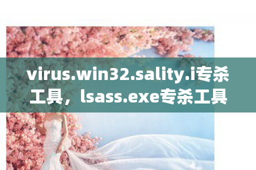 virus.win32.sality.i专杀工具,lsass.exe专杀工具,守护系统安全的利器 virus.win32.sality.i专杀工具,lsass.exe专杀工具,守护系统安全的利器