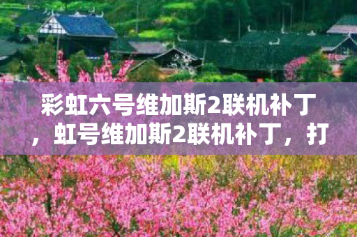 彩虹六号维加斯2联机补丁，虹号维加斯2联机补丁，打造流畅游戏体验的必备神器