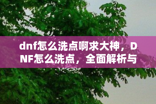 dnf怎么洗点啊求大神，DNF怎么洗点，全面解析与实用技巧