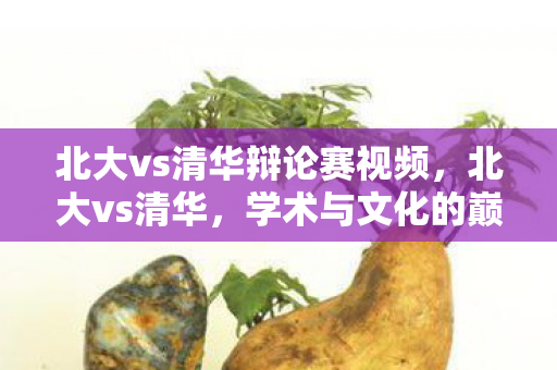北大vs清华辩论赛视频，北大vs清华，学术与文化的巅峰对决