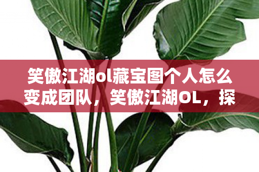 笑傲江湖ol藏宝图个人怎么变成团队,笑傲江湖OL,探寻神秘藏宝图的奇幻之旅 笑傲江湖ol藏宝图个人怎么变成团队,笑傲江湖OL,探寻神秘藏宝图的奇幻之旅