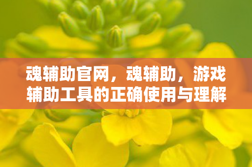 魂辅助官网，魂辅助，游戏辅助工具的正确使用与理解