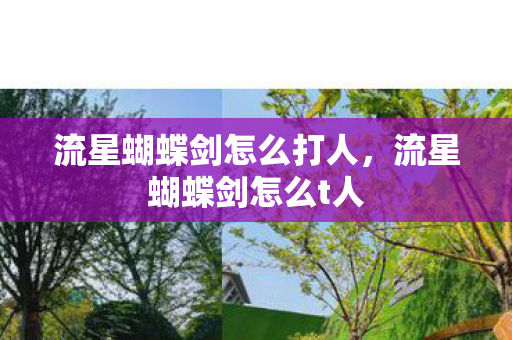 流星蝴蝶剑怎么打人,流星蝴蝶剑怎么t人 流星蝴蝶剑怎么打人,流星蝴蝶剑怎么t人