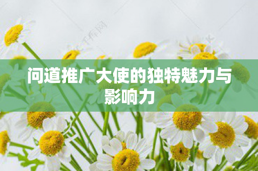 问道推广大使的独特魅力与影响力 问道推广大使的独特魅力与影响力