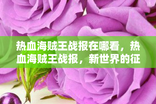 热血海贼王战报在哪看,热血海贼王战报,新世界的征途与荣耀 热血海贼王战报在哪看,热血海贼王战报,新世界的征途与荣耀