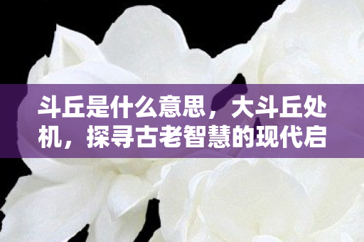 斗丘是什么意思,大斗丘处机,探寻古老智慧的现代启示 斗丘是什么意思,大斗丘处机,探寻古老智慧的现代启示