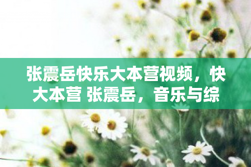 张震岳快乐大本营视频,快大本营 张震岳,音乐与综艺的跨界碰撞 张震岳快乐大本营视频,快大本营 张震岳,音乐与综艺的跨界碰撞